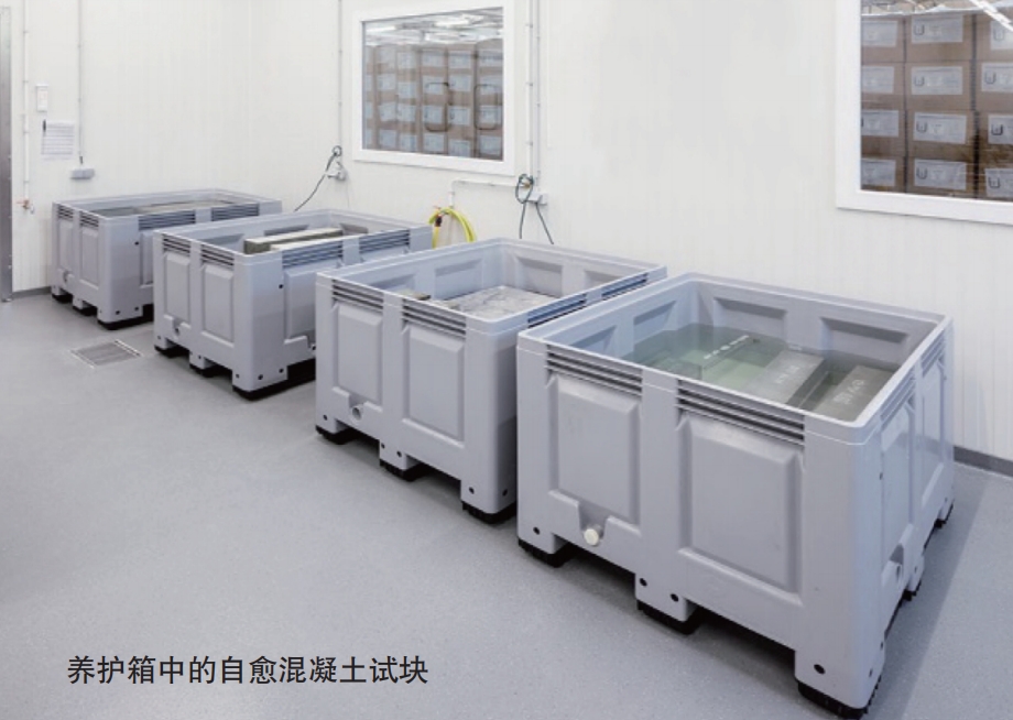 瑞驰兰自愈混凝土防水添加剂试块在养护箱中养护 瑞驰兰自愈混凝土防水添加剂试块在养护箱中养护