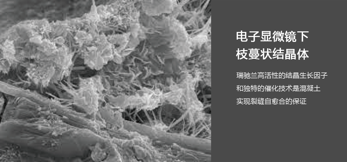 Richlam混凝自愈土防水剂中水化结晶的示意图片 Richlam混凝自愈土防水剂中水化结晶的示意图片