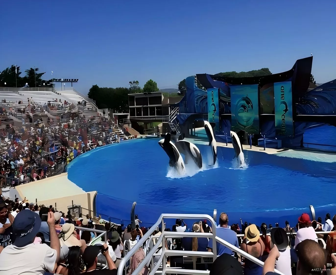 瑞驰兰混凝土防水剂可用于海洋世界水族馆