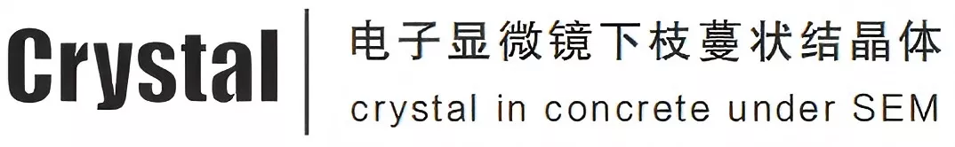 电子显微镜下的混凝土防水剂结晶情况